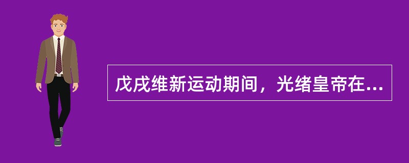 戊戌维新运动期间，光绪皇帝在资产阶级维新派建议下设立了（）