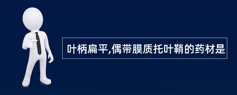 叶柄扁平,偶带膜质托叶鞘的药材是