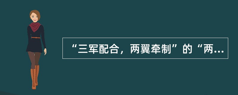 “三军配合，两翼牵制”的“两翼”是指（）。