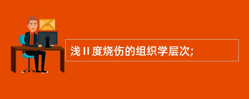 浅Ⅱ度烧伤的组织学层次;