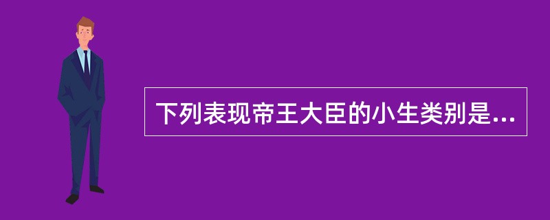 下列表现帝王大臣的小生类别是（）