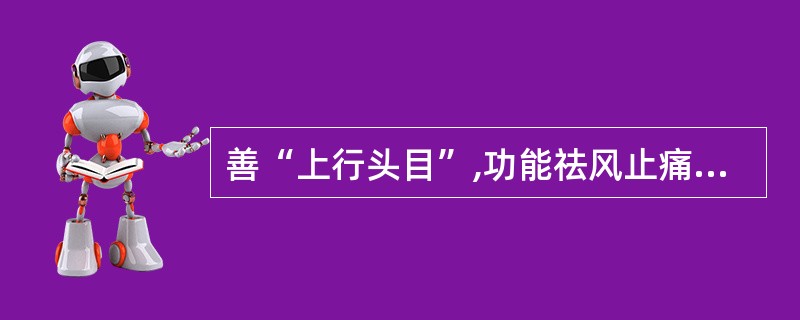 善“上行头目”,功能祛风止痛,为治头痛的要药是: