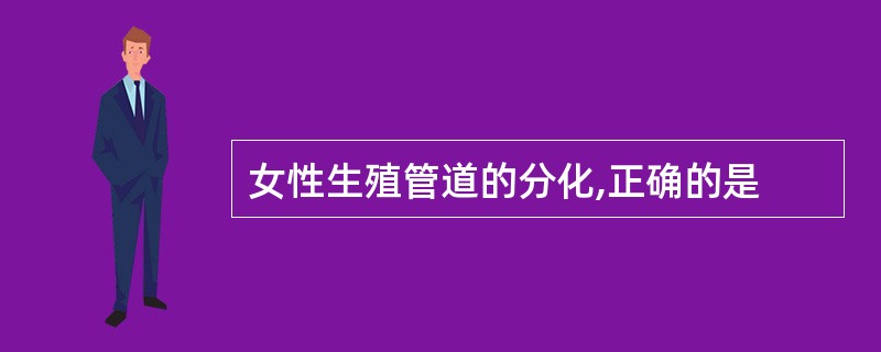 女性生殖管道的分化,正确的是