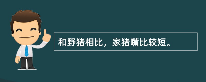 和野猪相比，家猪嘴比较短。