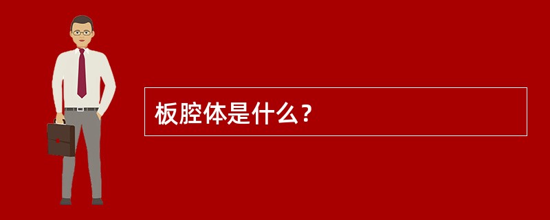 板腔体是什么？