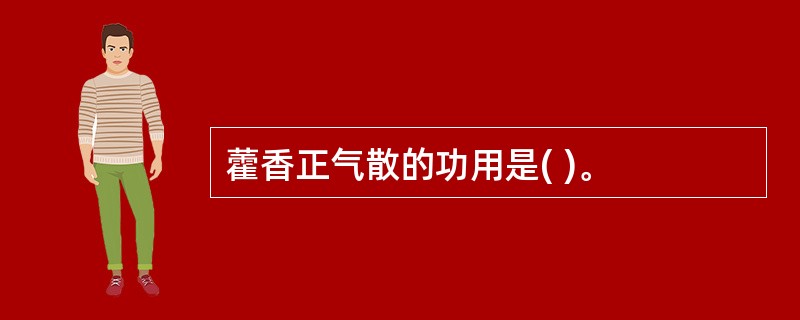 藿香正气散的功用是( )。