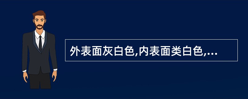 外表面灰白色,内表面类白色,折断时有粉尘飞扬,有羊膻气的药材是