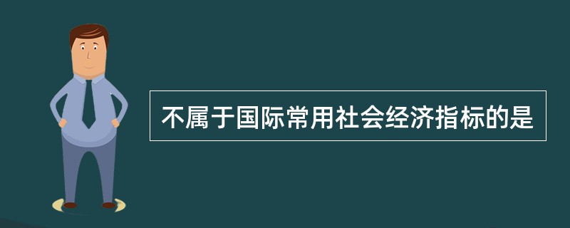 不属于国际常用社会经济指标的是