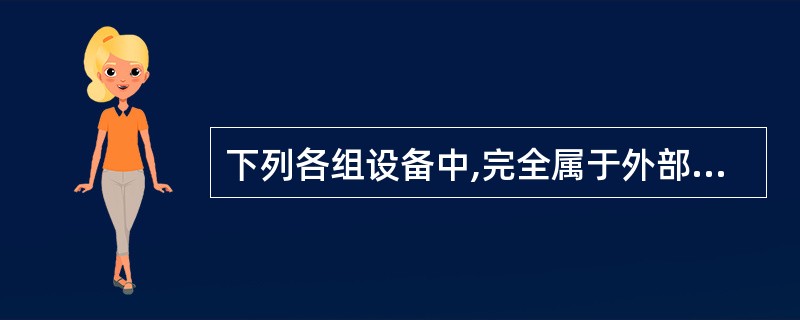 下列各组设备中,完全属于外部设备的一组是