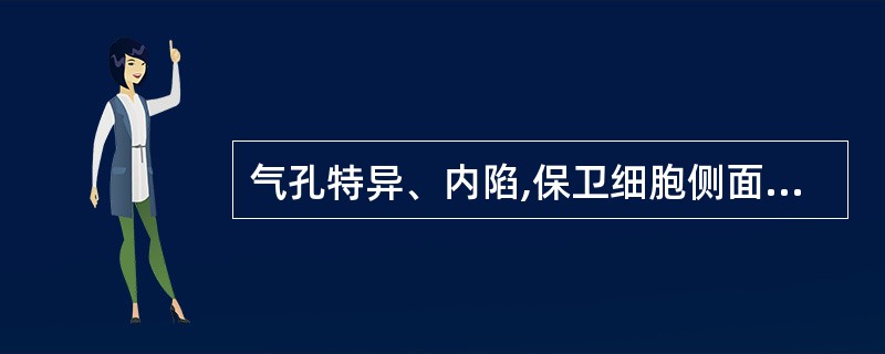 气孔特异、内陷,保卫细胞侧面观呈哑铃形或电话听筒形的药材是