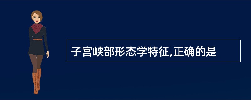 子宫峡部形态学特征,正确的是