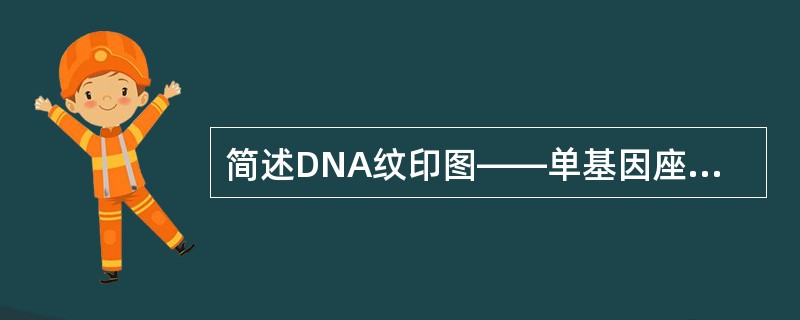 简述DNA纹印图——单基因座VNTR。