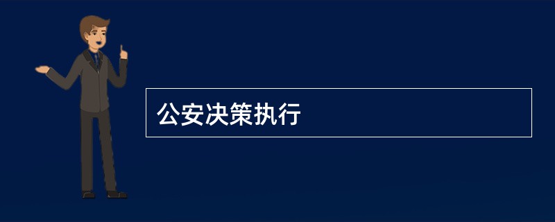 公安决策执行