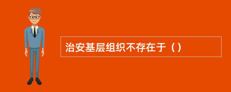 治安基层组织不存在于（）