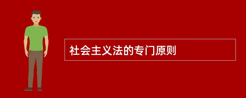 社会主义法的专门原则