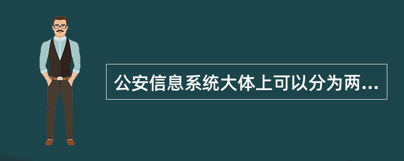 公安信息系统大体上可以分为两大类：（）和（）。