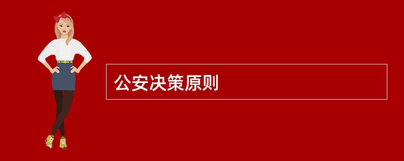 公安决策原则