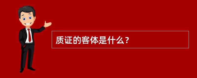 质证的客体是什么？