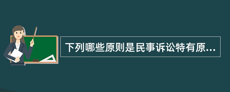 下列哪些原则是民事诉讼特有原则（）