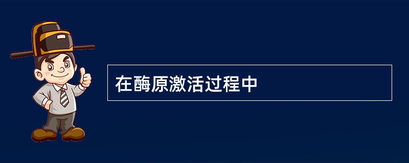 在酶原激活过程中