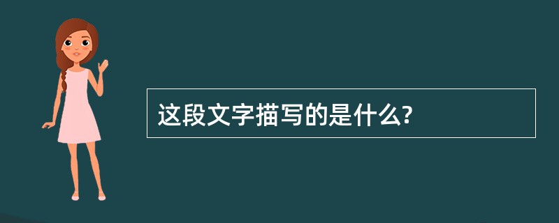 这段文字描写的是什么?