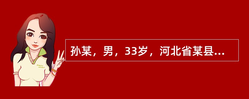 孙某，男，33岁，河北省某县农民；杨某，女，29岁，河北省某县农民。孙某到北京打