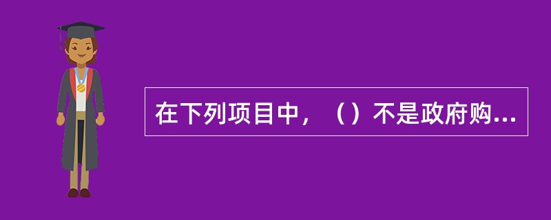在下列项目中，（）不是政府购买？