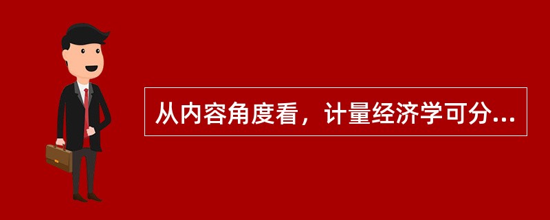 从内容角度看，计量经济学可分为（）。