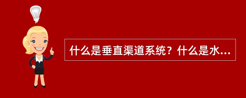 什么是垂直渠道系统？什么是水平渠道系统？