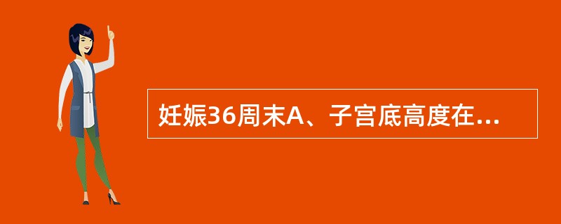 妊娠36周末A、子宫底高度在脐耻之间B、子宫底高度在脐上一横指 C、子宫底高度在