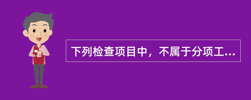 下列检查项目中，不属于分项工程中的关键项目的是（）。