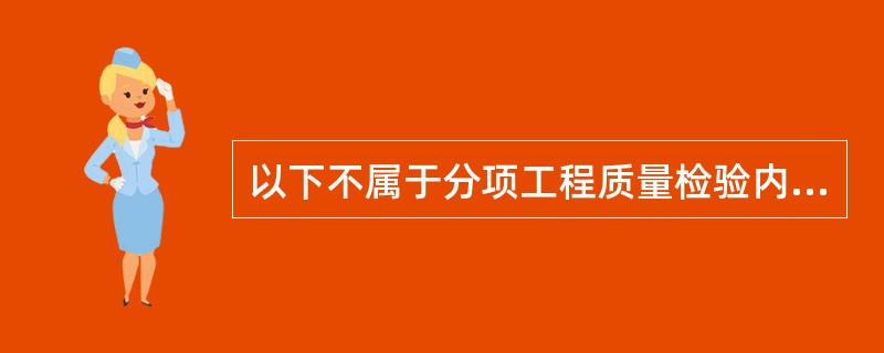 以下不属于分项工程质量检验内容的是（）。