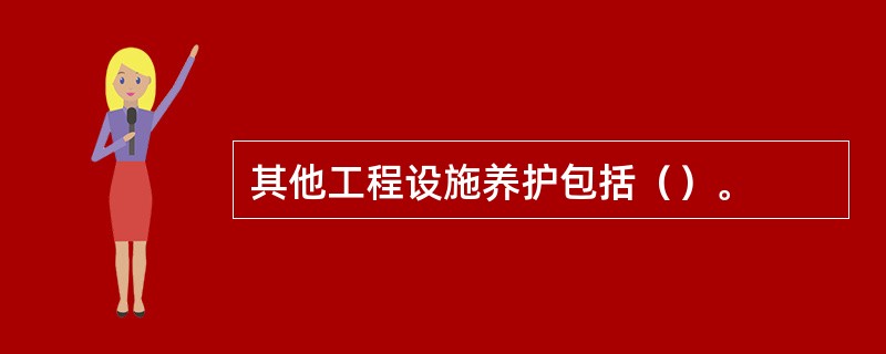 其他工程设施养护包括（）。