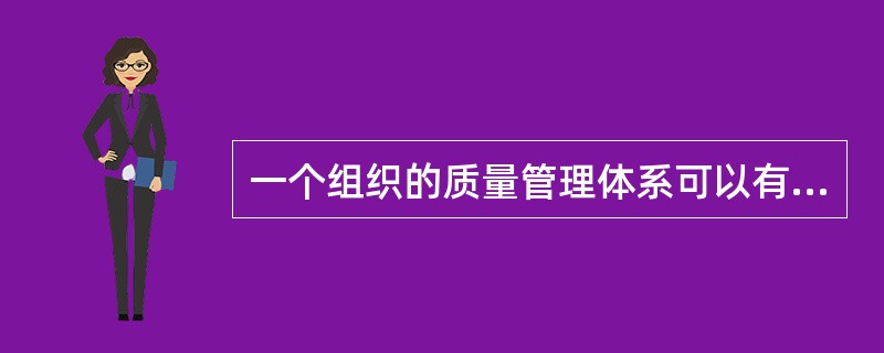 一个组织的质量管理体系可以有1个以上。（）