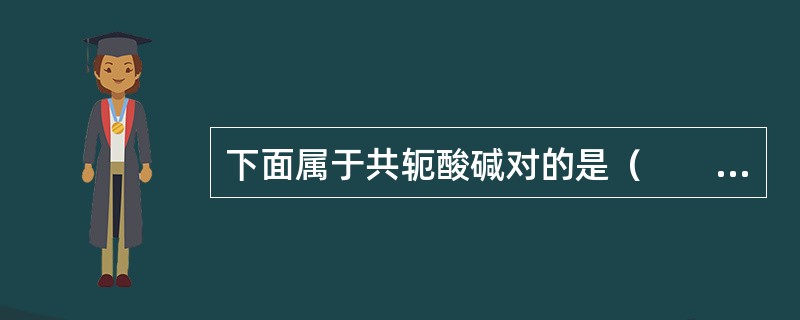 下面属于共轭酸碱对的是（　　）。[2013年真题]
