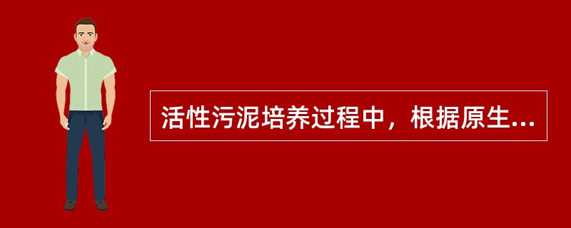 活性污泥培养过程中，根据原生动物和微型后生动物的演替，当出现大量钟虫等固着型纤毛虫、轮虫，则可以判断该阶段为（　　）。