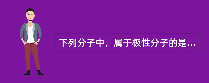下列分子中，属于极性分子的是（　　）。[2008年真题]