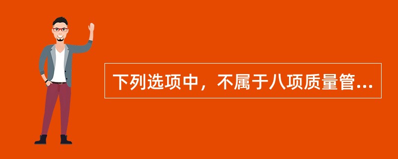 下列选项中，不属于八项质量管理原则的是（）。