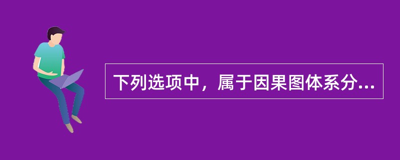 下列选项中，属于因果图体系分类的有（）。