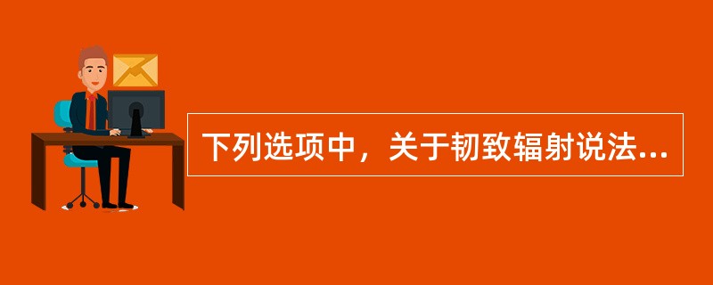 下列选项中，关于韧致辐射说法正确的有（）。