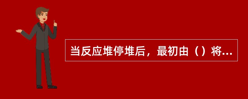 当反应堆停堆后，最初由（）将剩余功率热量导出。