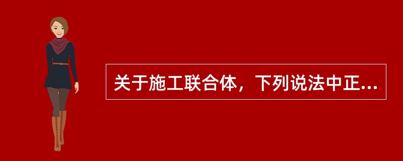 关于施工联合体，下列说法中正确的是（　　）。[2008年真题]