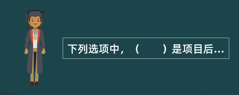 下列选项中，（　　）是项目后评价的核心内容。