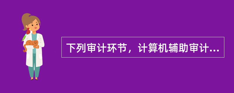 下列审计环节，计算机辅助审计技术能够有效应用的是（　　）。