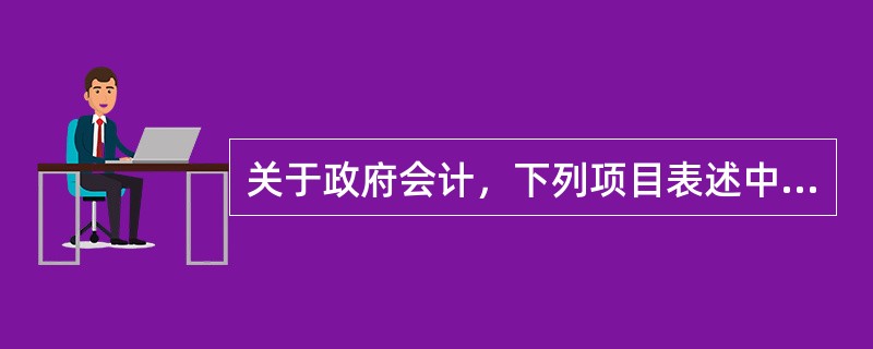 关于政府会计，下列项目表述中正确的有（　）。