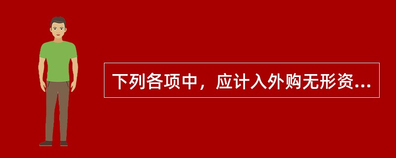 下列各项中，应计入外购无形资产成本的有（）。