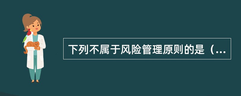 下列不属于风险管理原则的是（　　）。