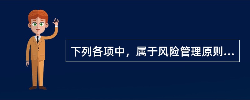 下列各项中，属于风险管理原则的有（　）。