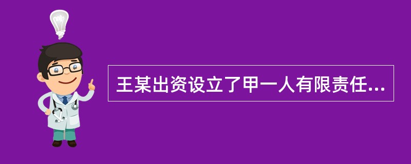 王某出资设立了甲一人有限责任公司（下称“甲公司”）。甲公司的下列事项中，符合公司法律制度规定的是（　）。