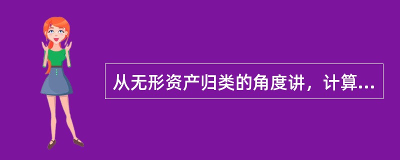 从无形资产归类的角度讲，计算机软件属于（　　）无形资产。